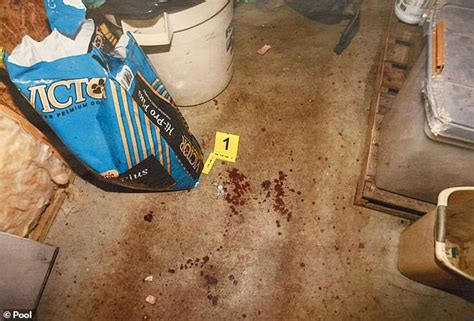 murdaugh murder crime scene pictures|Chilling photos reveal bloody crime scene where Maggie and Paul ...